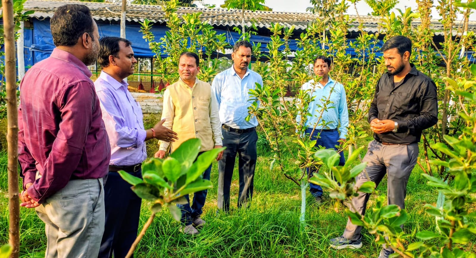 बिहार के नवादा में भी कश्मीर की तरह उग रहा है सेब 🍎